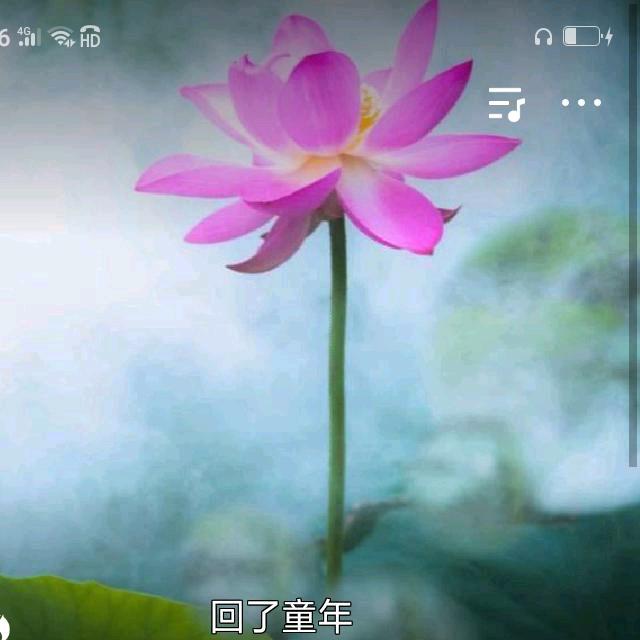 明月千里：《相思难解》新歌