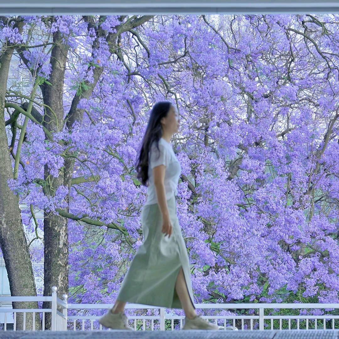 美妙的旋律