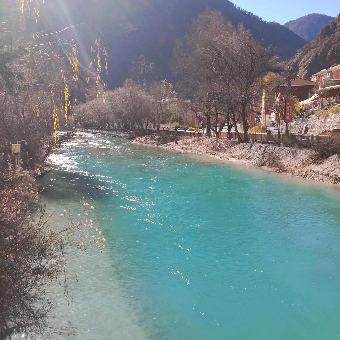 感恩遇见《单身》