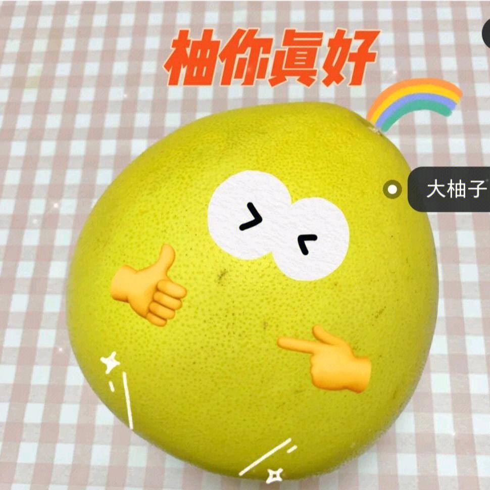 柚子探探