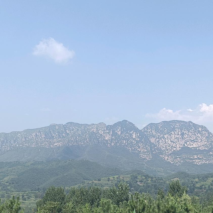 会打拳的卤面哥