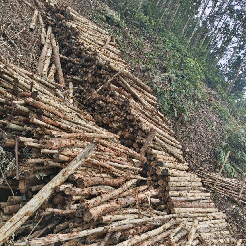 用户2224756566846