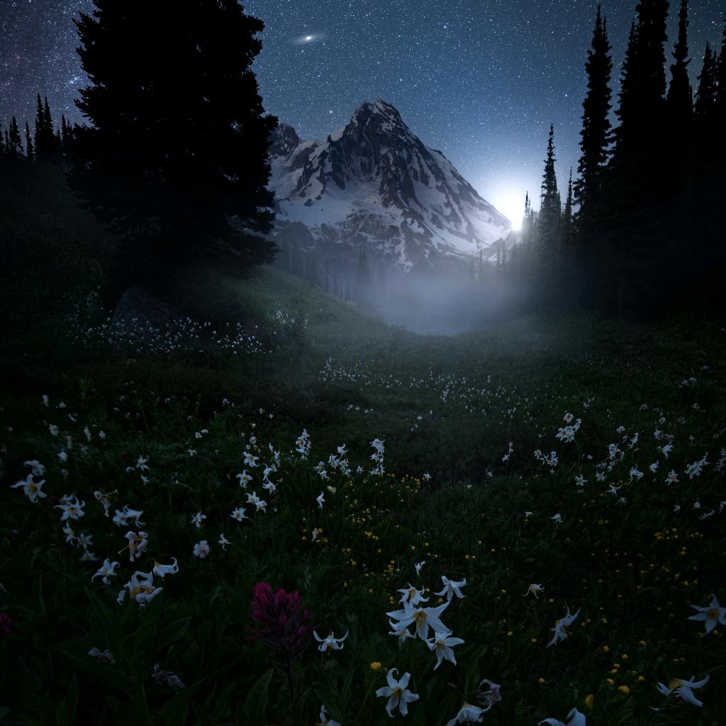 凌波不过横塘路