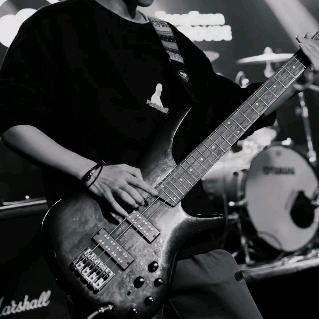 谭琴🎸