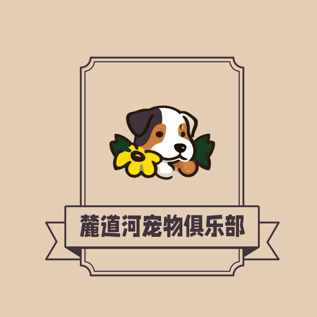 麓道河宠物俱乐部