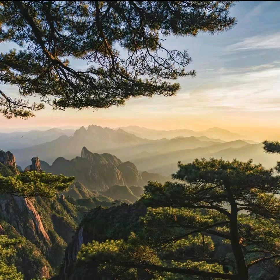 寻山地图