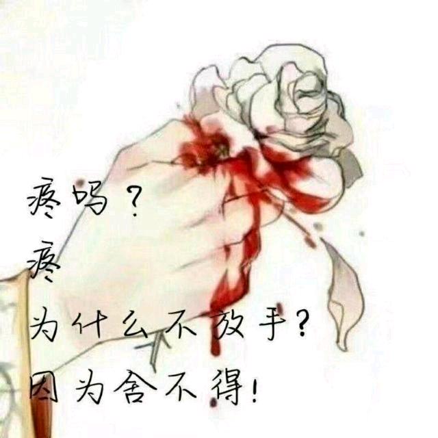 逗哥