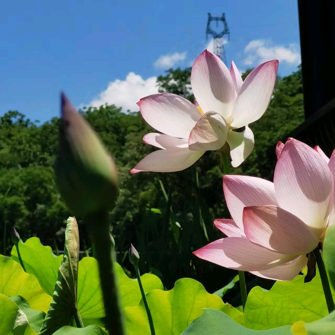快乐生活