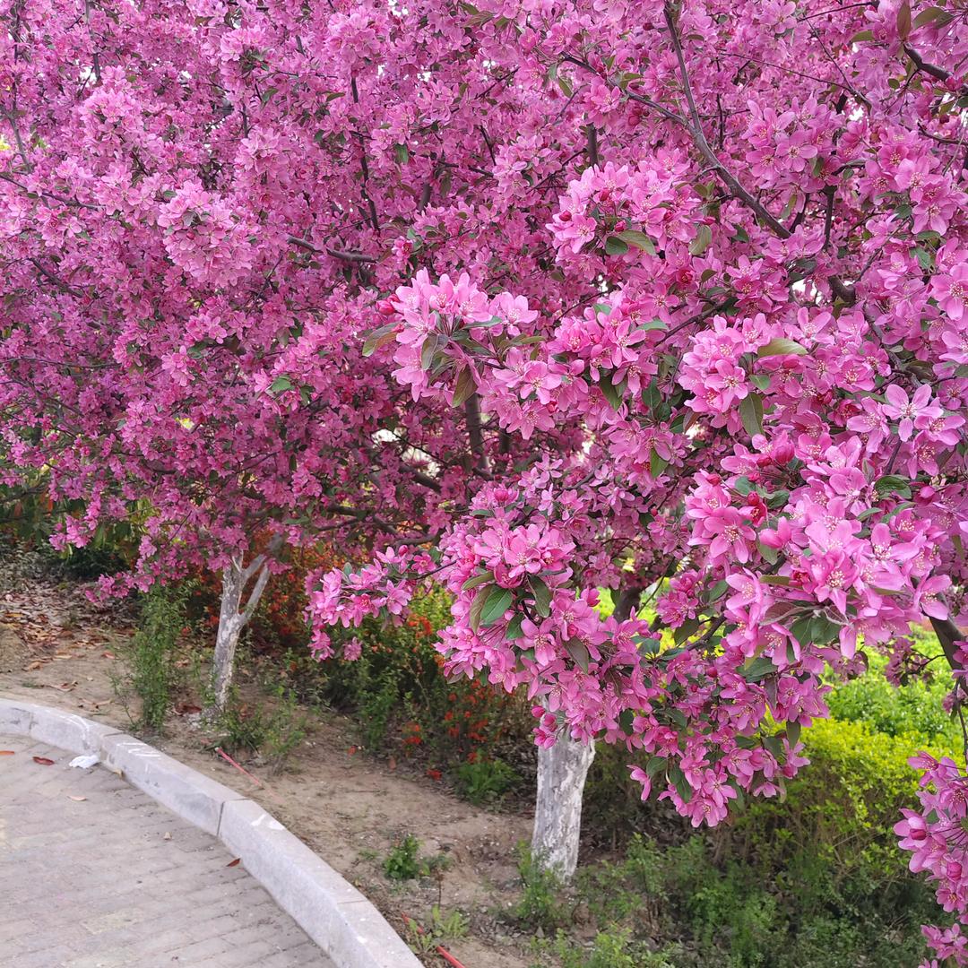 润生烤肉拌饭(幸福食堂)