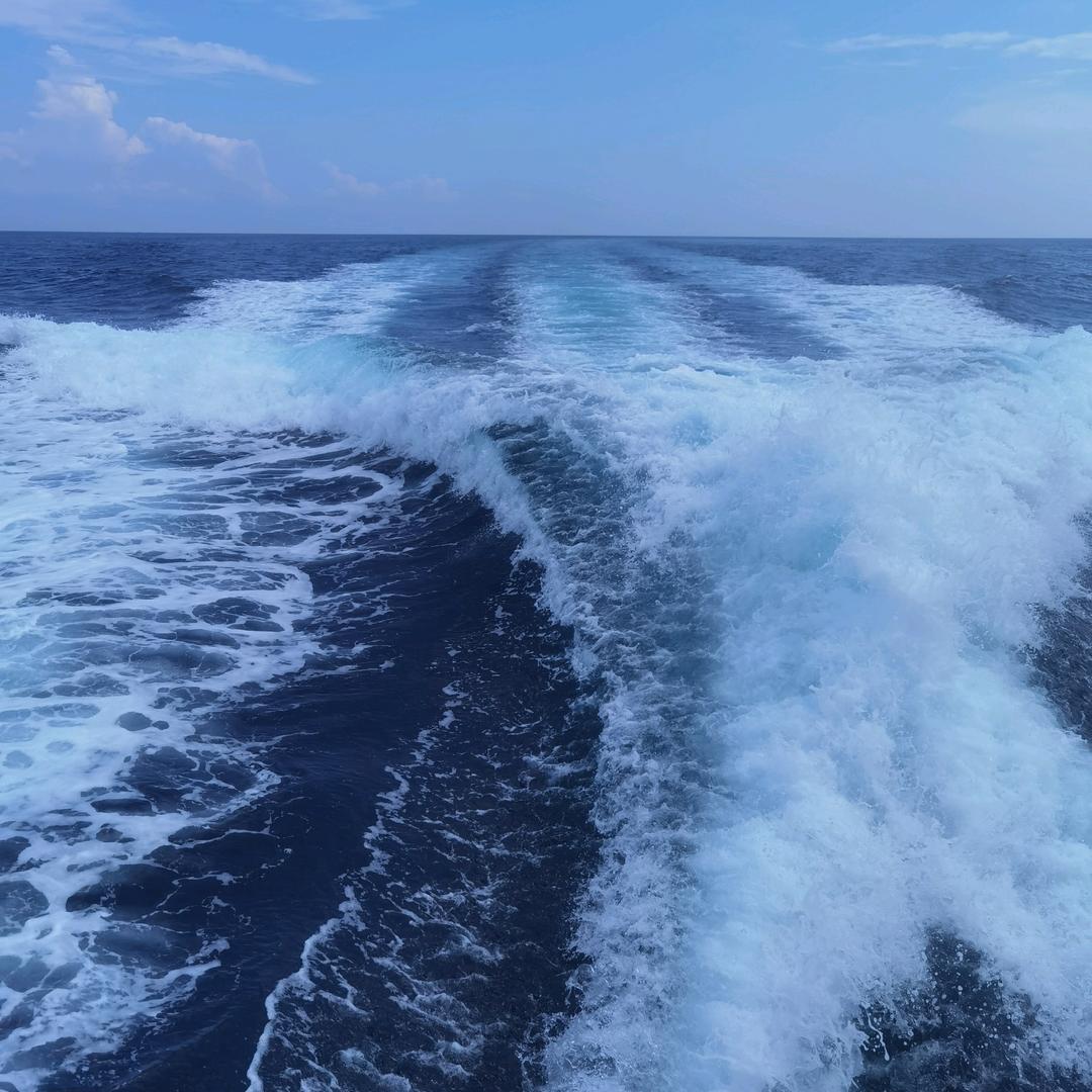 我在同心圆广场