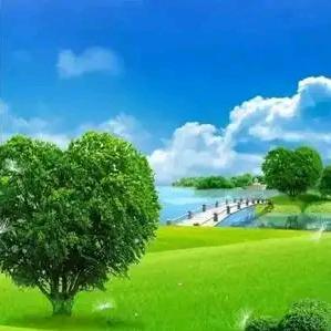 你若相惜@我必相依（拒私聊，请勿连赞，连