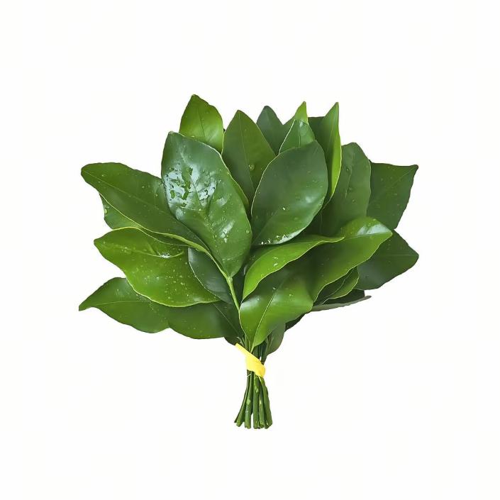 伊兹莫