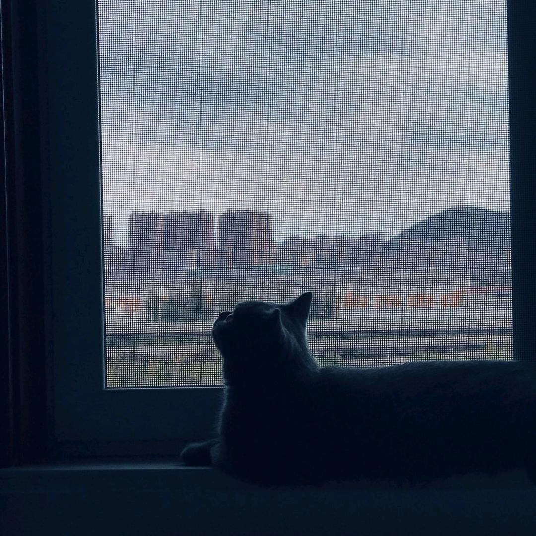阿程.
