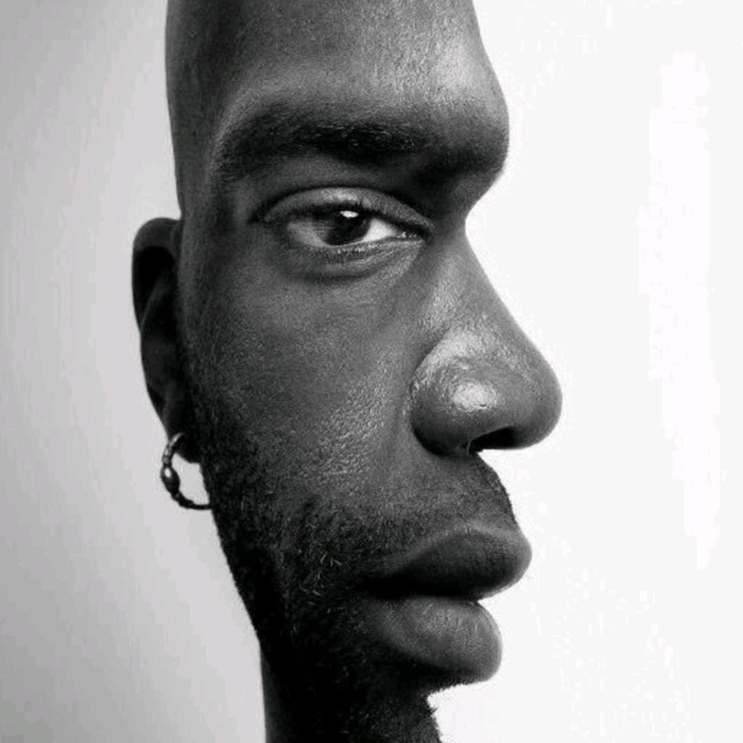 十树夺