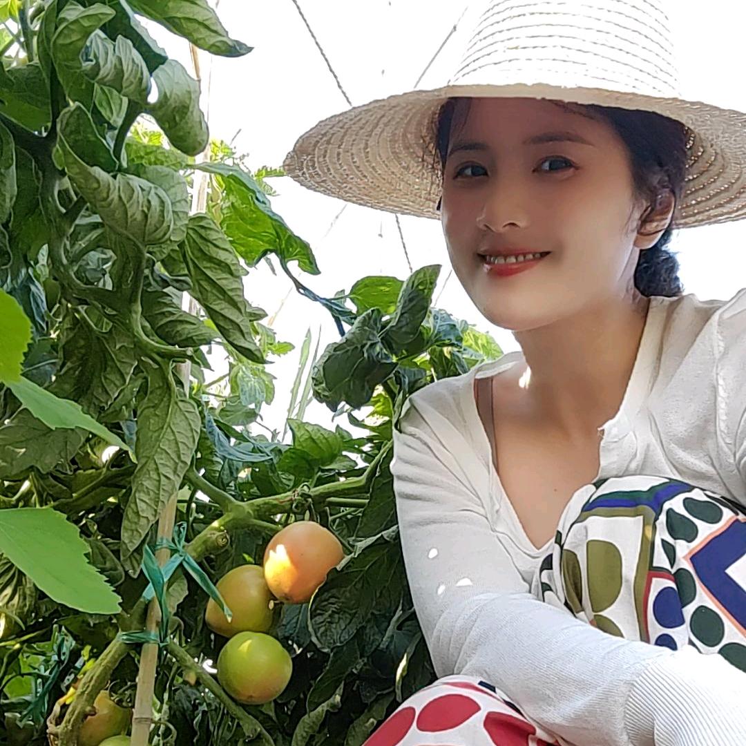 刘豆豆
