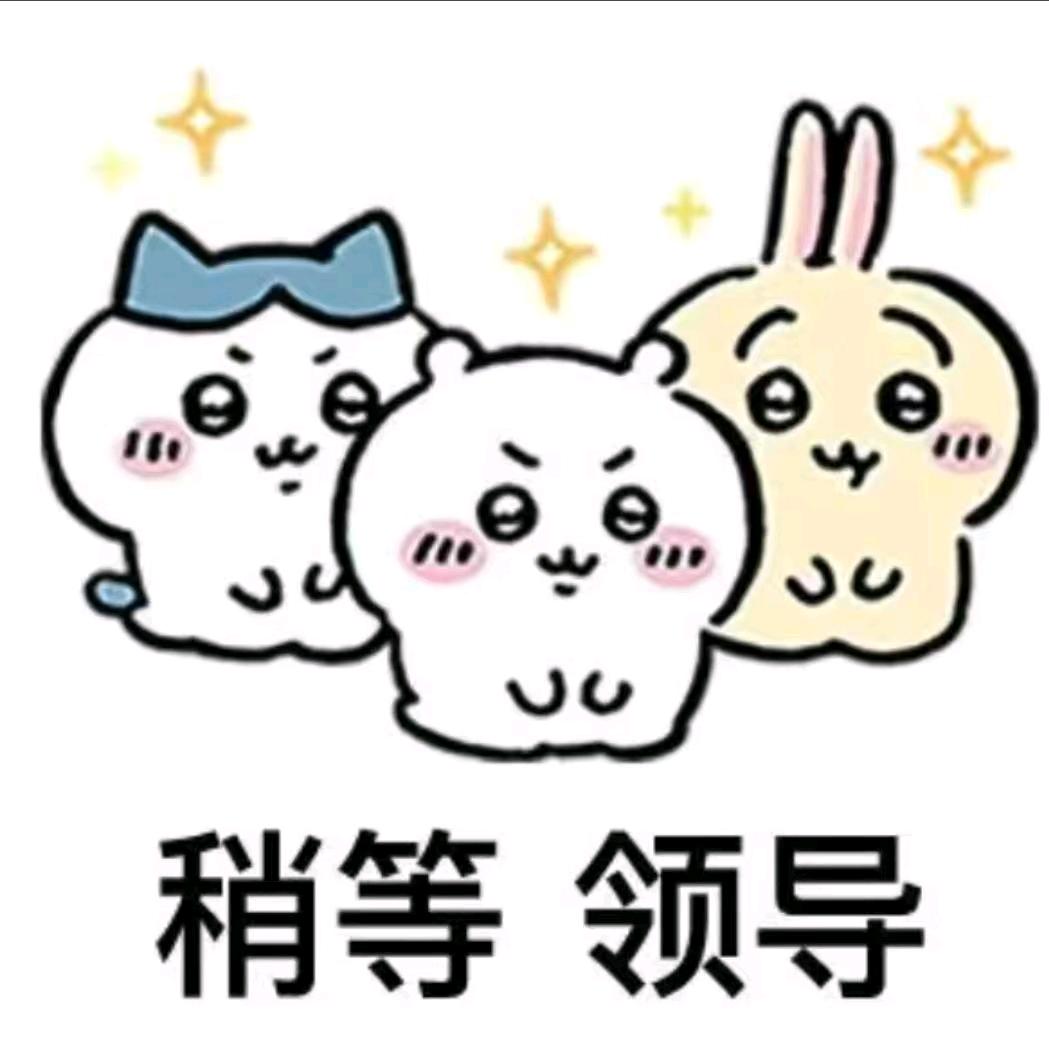 认养一只小狗🐕