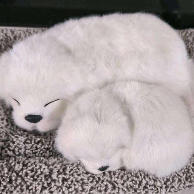 不负时光不负青春