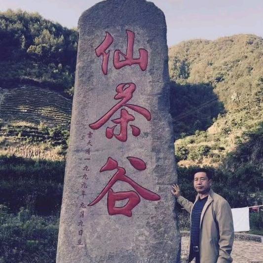仙茶谷（好奇心1）