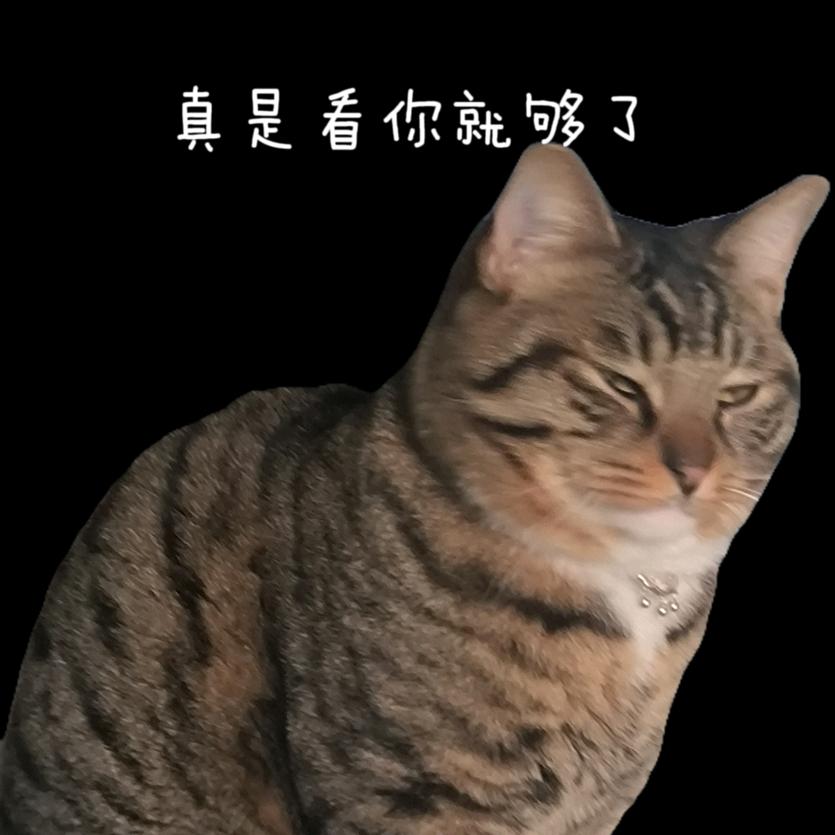 楠神