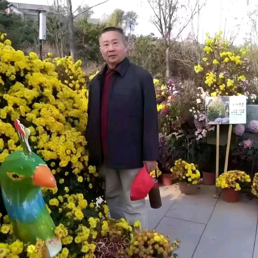 马云正能量