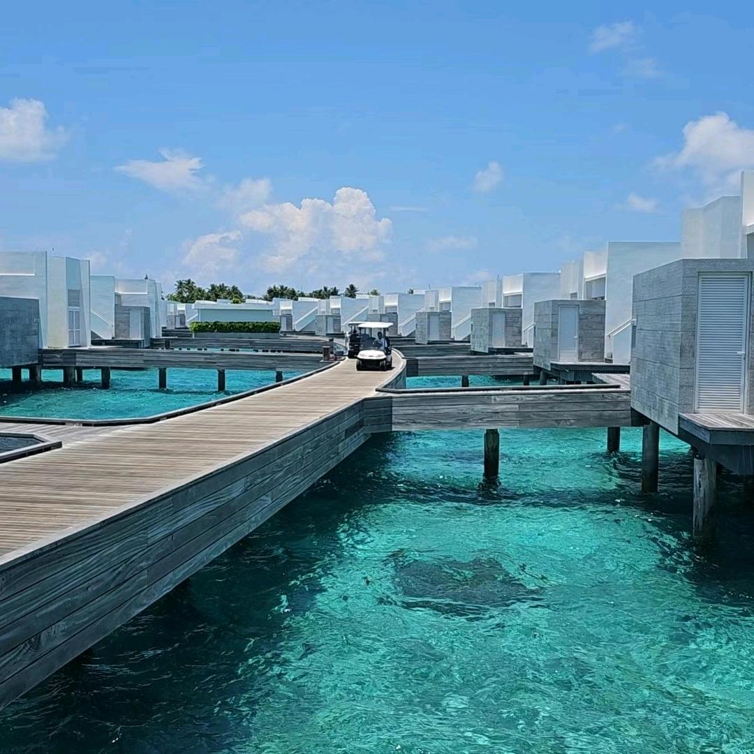百浪多息