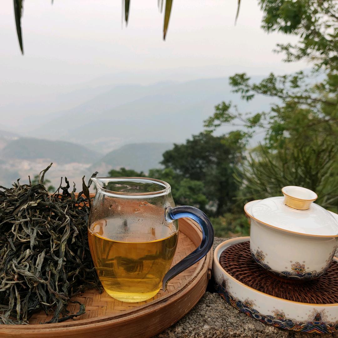 国强茶业