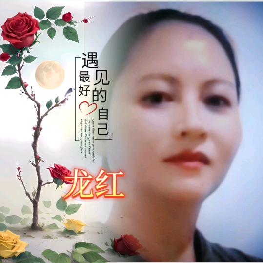 龙红