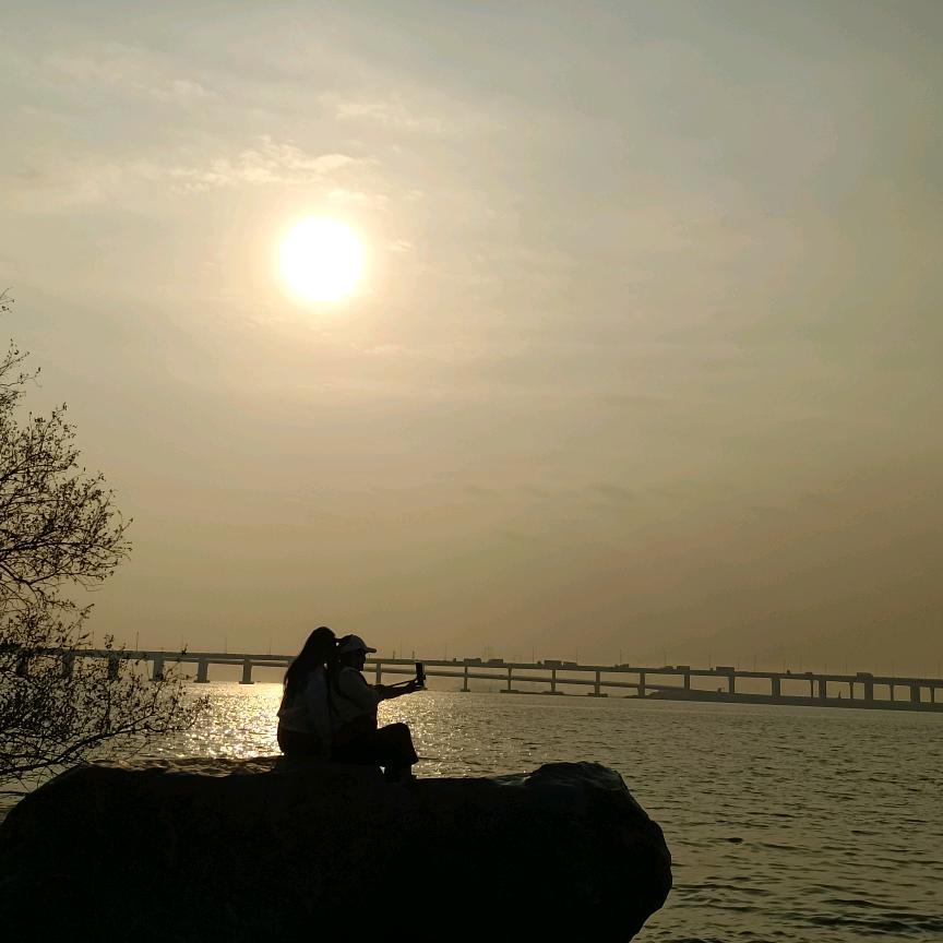 微笑🌹((❤️⥎❤️))🌹