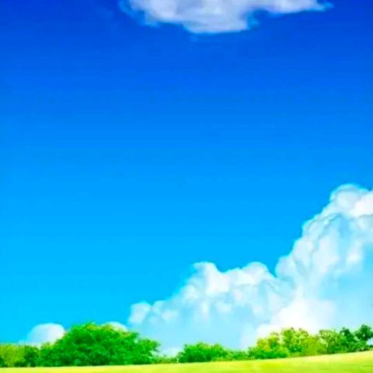 渣哥～   LCD自救发起人