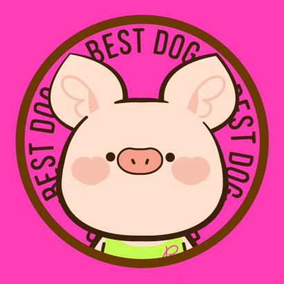 Bestdog 儿童鲜肉爆汁肠