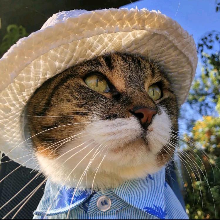 老师 我太想进步了