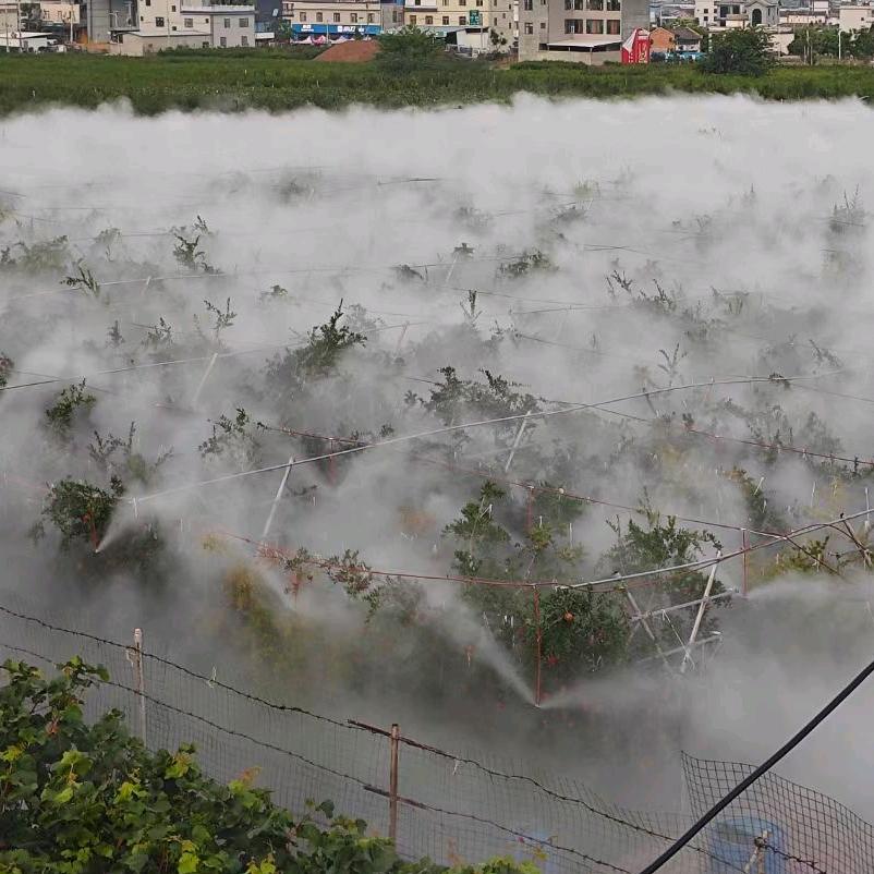 果园弥雾打药