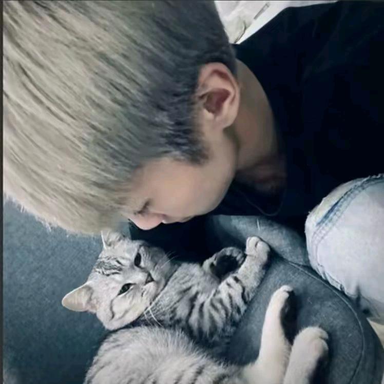 风吹散当年情🌊