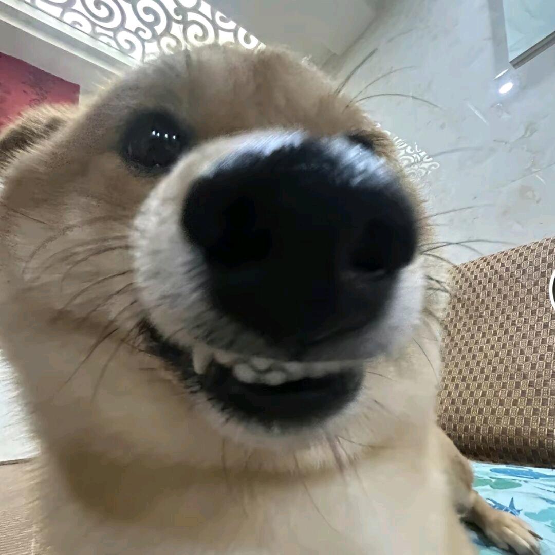 超级无敌风火轮之九天雷霆双脚蹬加奥摩飞踢