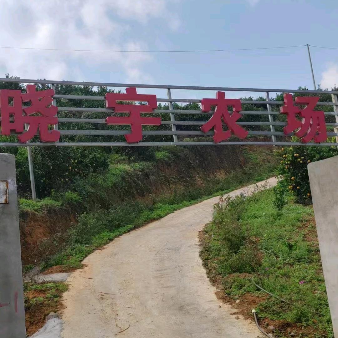 晓宇农场采摘园