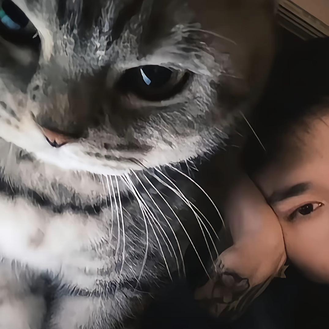 陈词