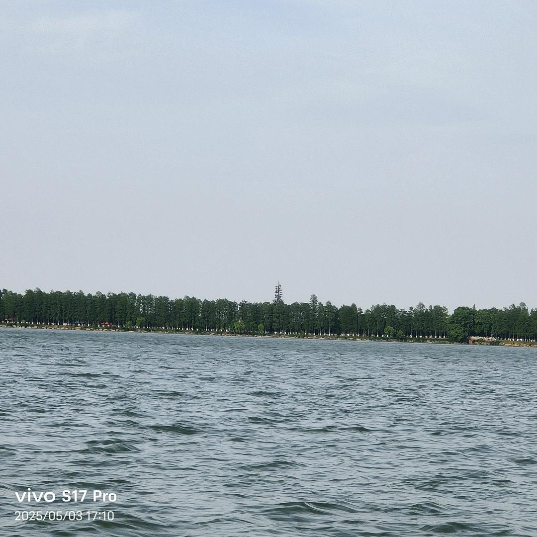 真真假假假假真真