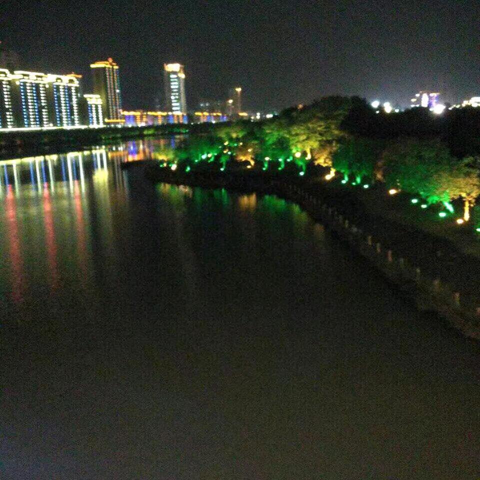 会飞的鱼