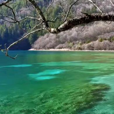 去哪looking