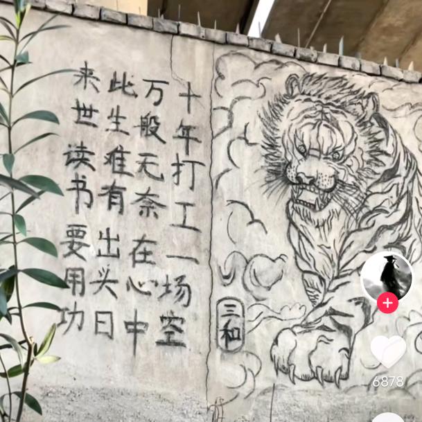 鱼小赵