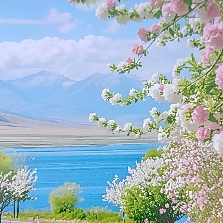 开心荷花