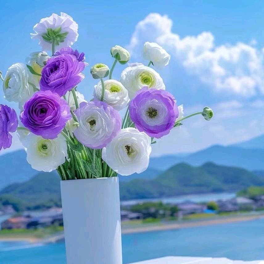 🍓🍓安好🌸🌸🍓🍓