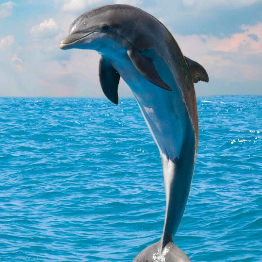 甜甜圈🍩🍩🍩