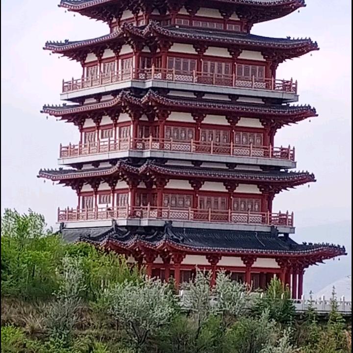 青山露水