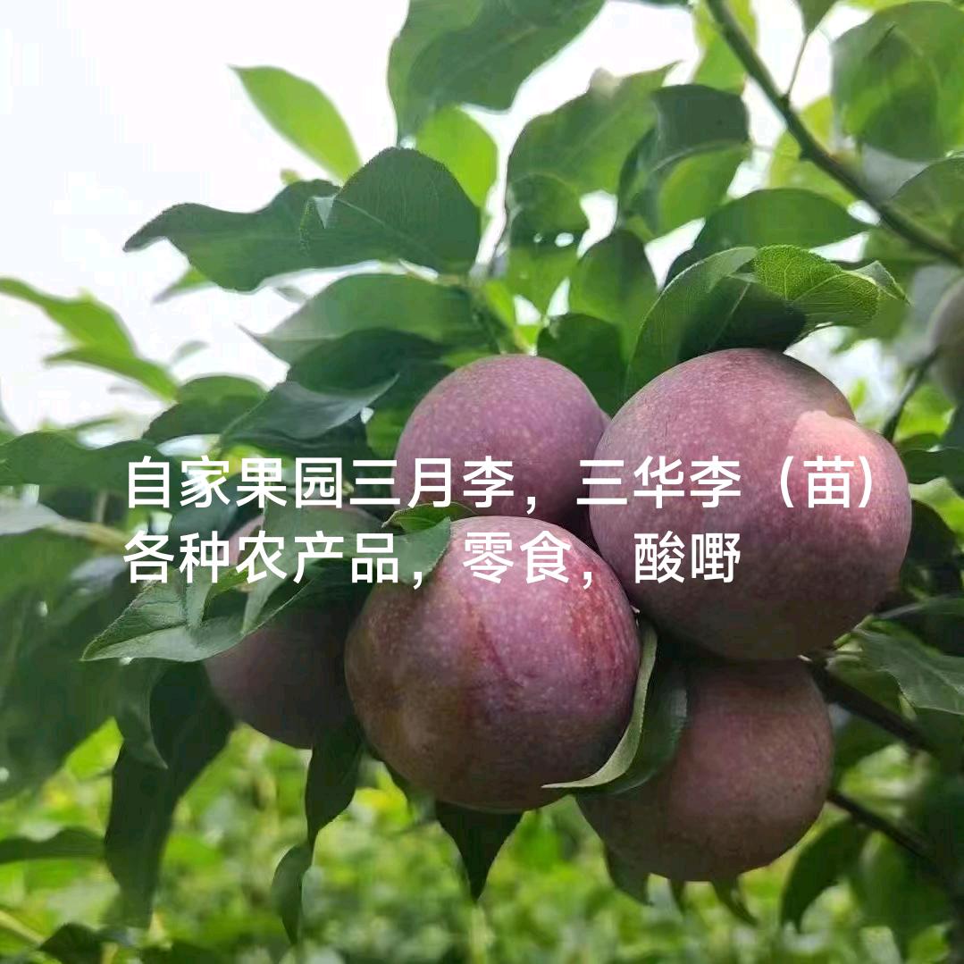 新农人-李