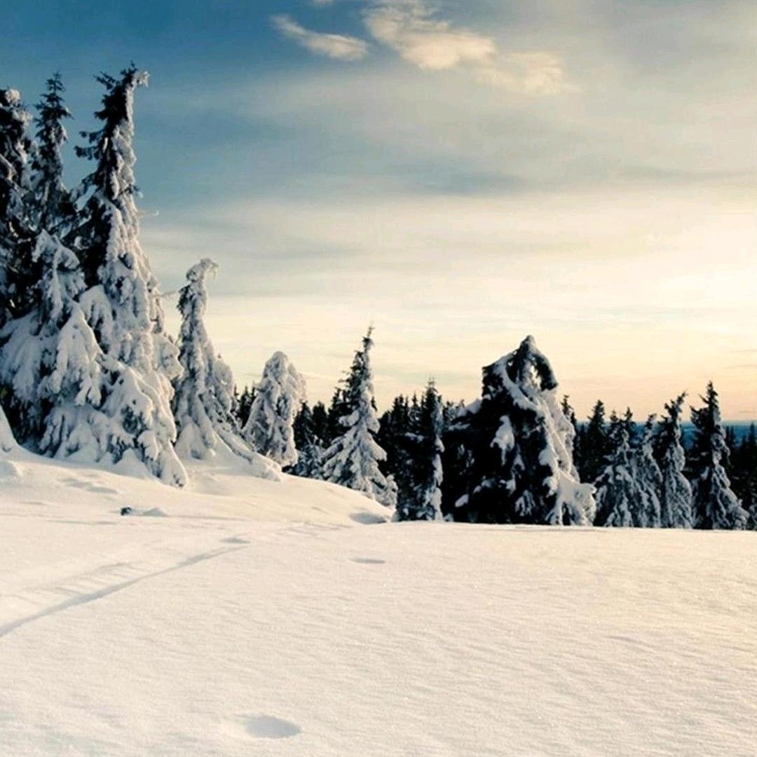 🇨🇳♑Mr.K 暴雪（瀋楊❄️）