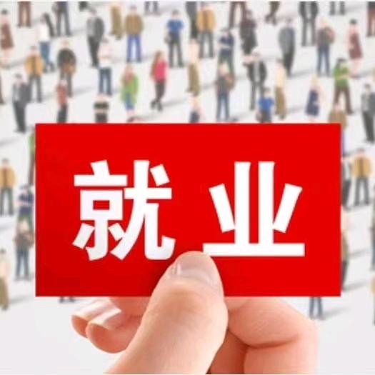 奇派就业指导