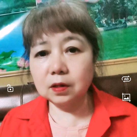 凤姐