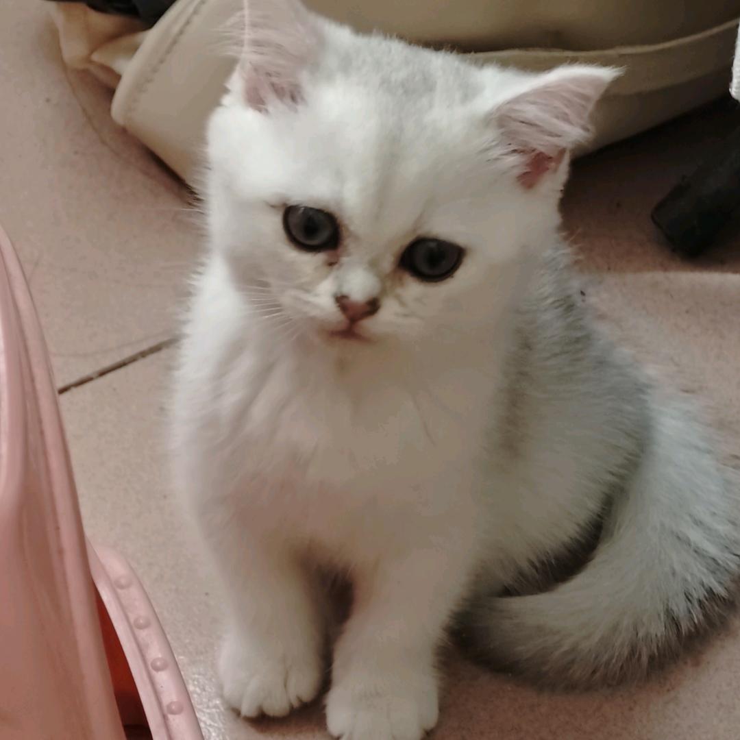 秋落