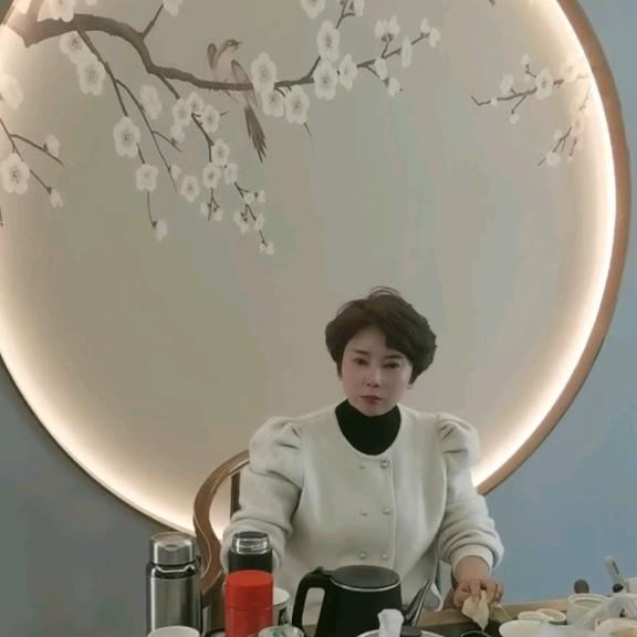 白居易的猫全国招商—涛涛老师